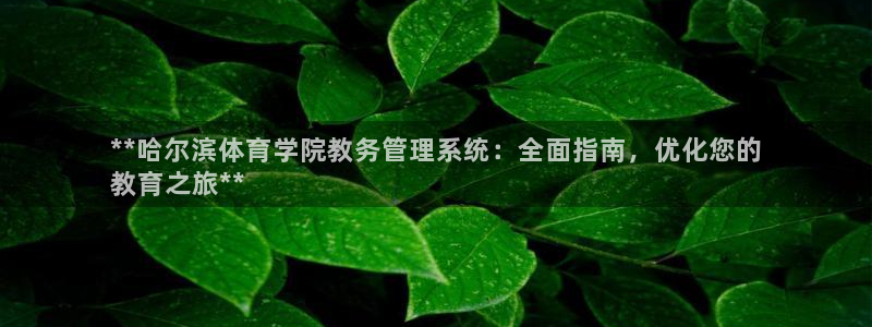 必一体育app下载最新版本